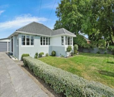 Easy living in Bryndwr - Photo 4