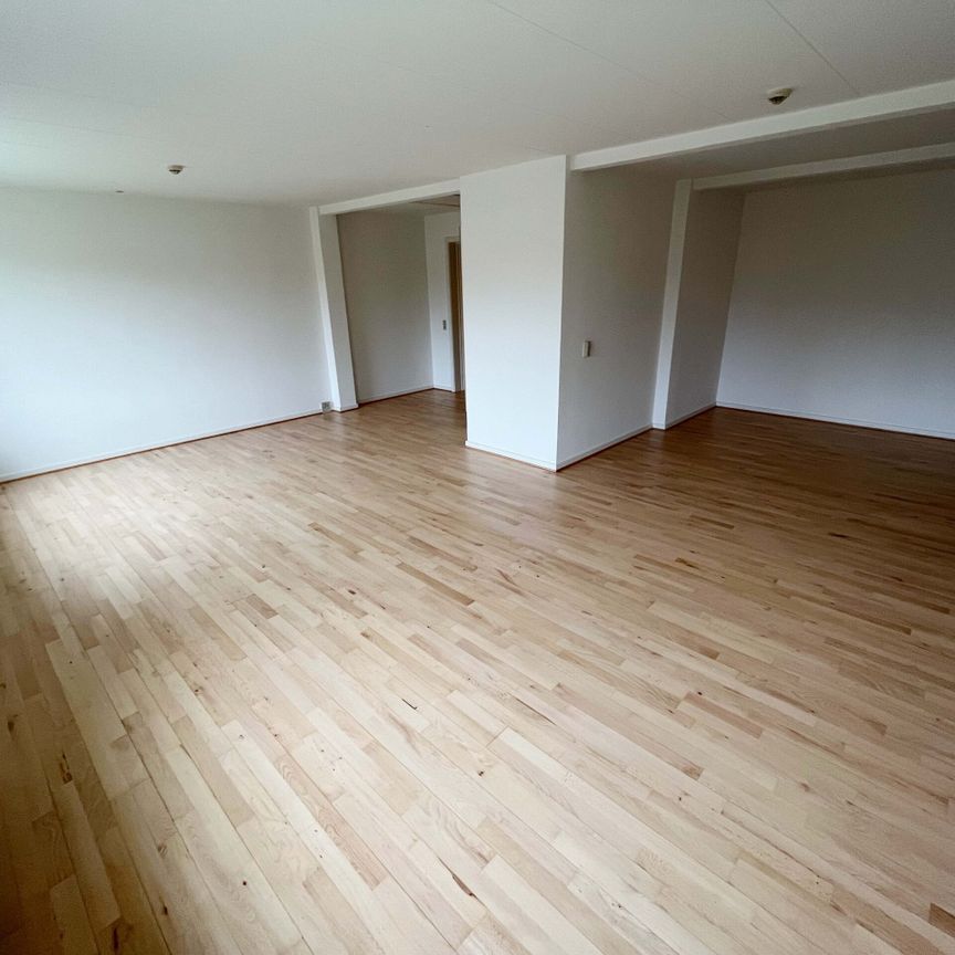 Moltrupvej 40, 1. -25, 6100 Haderslev - Photo 1