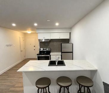 1 CH - 1 SDB - Montréal - $1,549 /mo - Photo 2