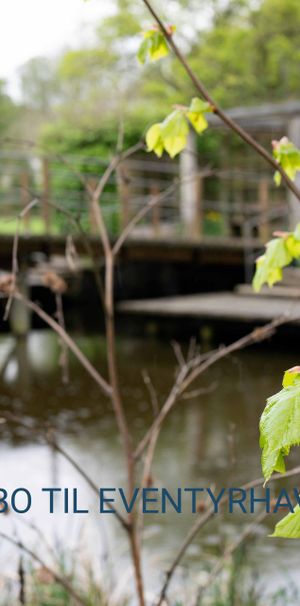 Fantastisk 4 værelses lejlighed til leje - Photo 1