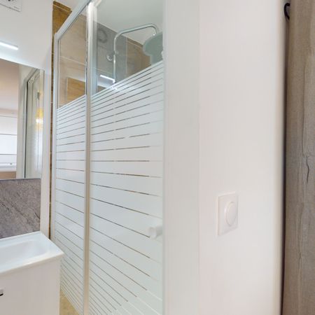 LIMAGNE B Roommate 3 Bedrooms at Toulouse - Photo 4