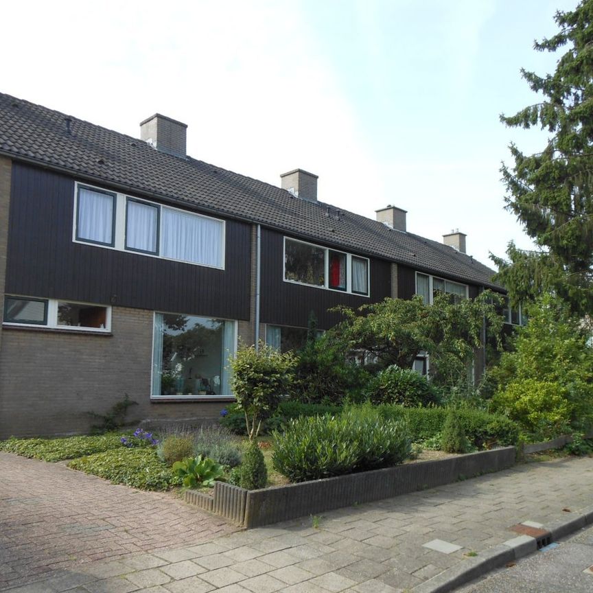 P. Van Anrooylaan 58, 6952CW Dieren - Photo 1