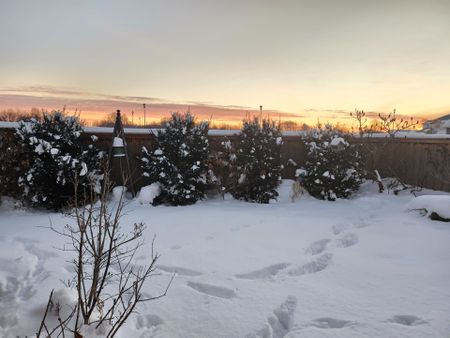 For Lease - 27 Portland Street Unit# Entire home, Collingwood, Ontario - Photo 3