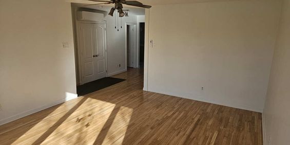 51/2 Propre Et Lumineux — Haut De Duplex - Photo 3