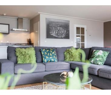 Paradijslaan - Photo 1