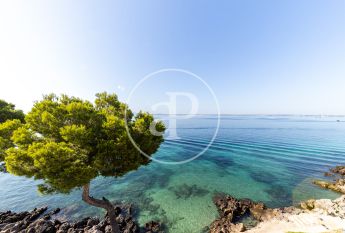 Flat for rent with Terrace in Port d’Alcúdia - Platja d'Alcúdia (Alcúdia)