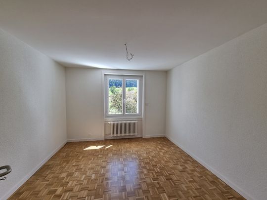 Joli appartement de 3 pièces refait à neuf avec grand balcon - Photo 1