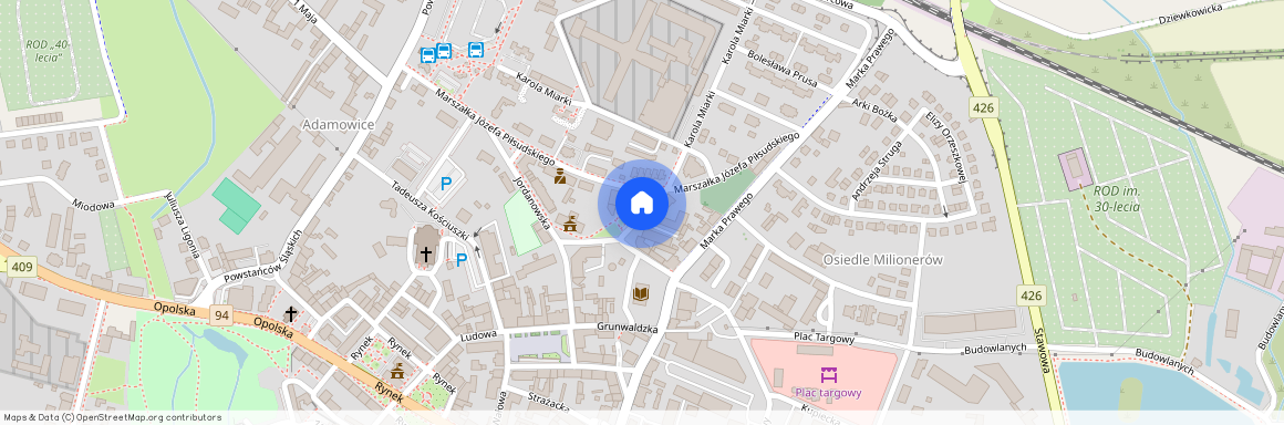 pl. Mikołaja Kopernika, Strzelce Opolskie, Strzelce Opolskie, strzelecki, opolskie