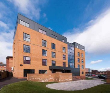 Deluxe Studio - Photo 3