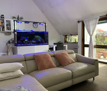Great Location - Photo 3
