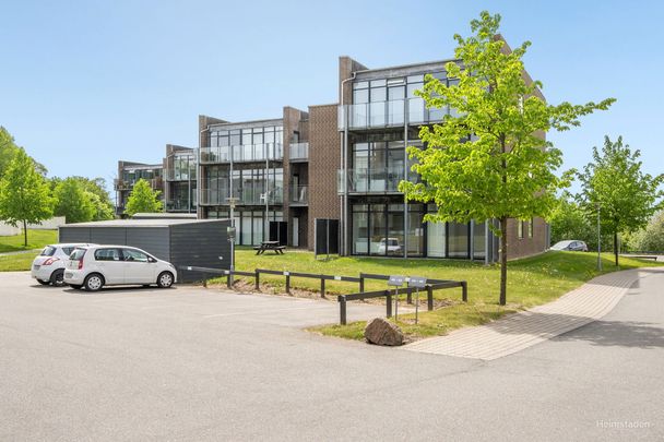 3-værelses Lejlighed på 96 m² i Vejle - Photo 1