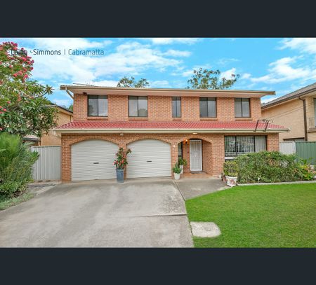 256 Canley Vale Road, Canley Heights, NSW 2166 - Photo 2