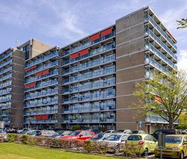 Appartement au rez-de-chaussée Botterstraat 29, Purmerend - À louer - Photo 2