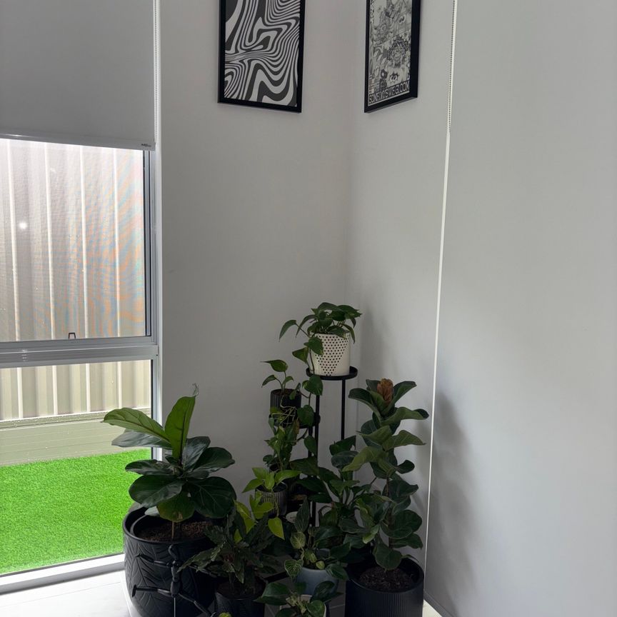 Bennett Springs - Photo 1