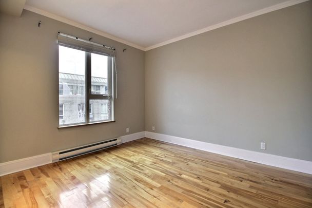 98 Rue St-Norbert, app.9, H2X 3Z2, H2X 3Z2, Montréal - Photo 1