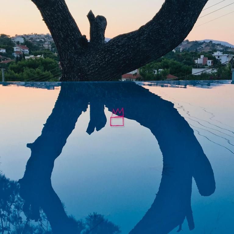 Μονοκατοικία για ενοικίαση Λαγονήσι (Καλύβια Θορικού) - Photo 1