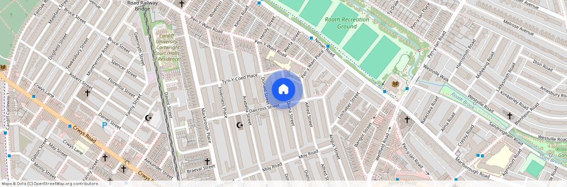 Diana Street, CF24 4TU, Roath
