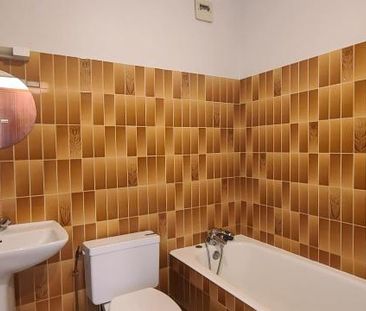 Location Appartement 1 pièce 28m² BRIVE LA GAILLARDE 19100 - Photo 4