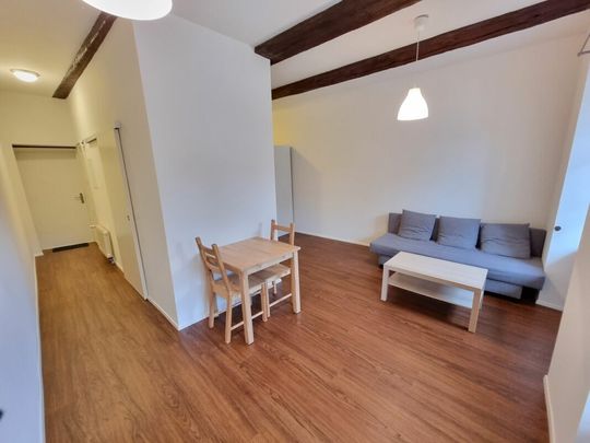 Petit mais agréable, en plein bord de Rhin ! - Photo 1