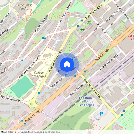 2300, La Chaux-de-Fonds, Bouleaux, 11