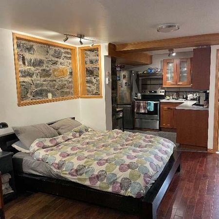 Studio Plateau Mont-Royal Cession de bail Lease transfer Dec 1 - Photo 4