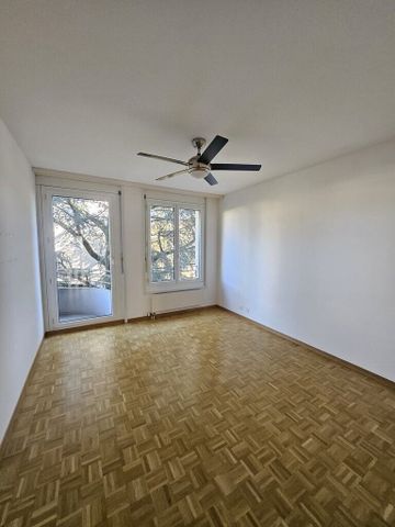 A saisir ! Magnifique appartement à Genève ! - Foto 3