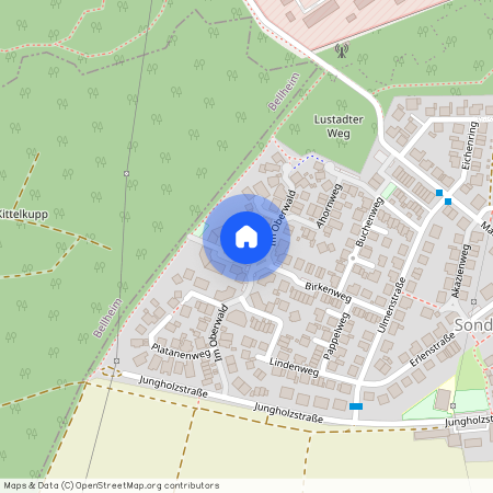 Im Oberwald 44, 76726 Germersheim