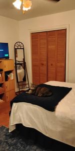 4 1/2 - Montréal (Montréal-Nord) - 1 520 $/mois - Photo 3