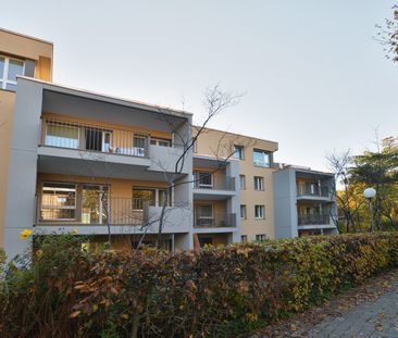 4.5 Zimmer-Wohnung an ruhiger Lage - Foto 3