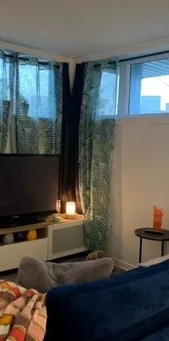 272 Boulevard D'amsterdam (Hull) Magnifique 3 1/2 Dans Un Super Secteur - Photo 1