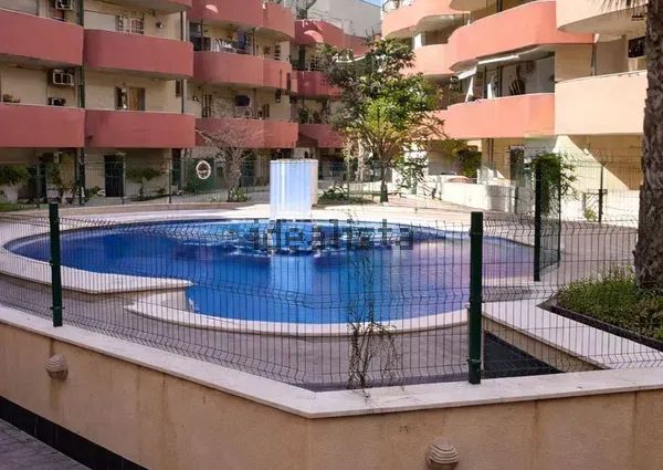 Alquiler de piso en Almoradí