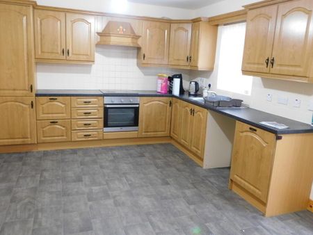 25 Mullaghmena Meadows, Omagh, BT78 5QJ - Photo 4