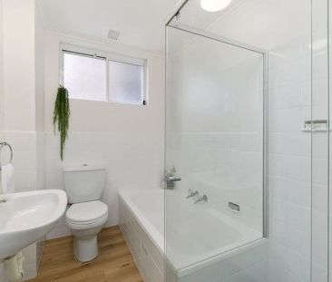 Sun Filled 2 Bedroom Apartment - Photo 3