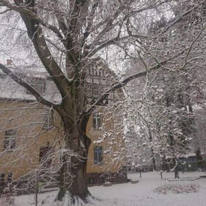 Wunderschöne historische sanierte 4 Raum Wohnung Werdau zu vermieten - Photo 2