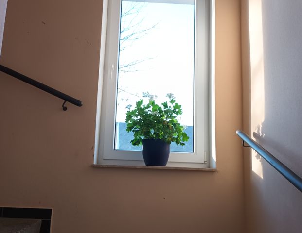 schöne 3-Raum Wohnung mit sonnigen Balkon - Photo 1