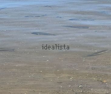 Alquiler de chalet pareado en Calle Isla Cunillera, 1 - Photo 2