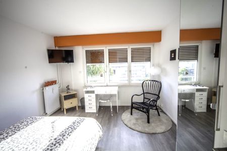 Strasbourg - De Gaulle - Chambre 2 - Photo 2