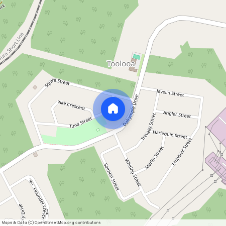 8 Tuna Street, Qld 4680, Toolooa