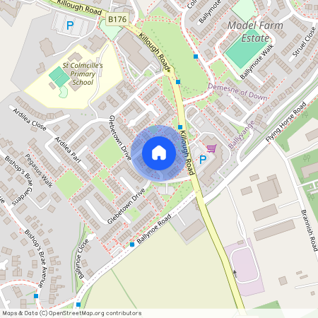 15 Glebetown Drive, Downpatrick, BT30 6QG