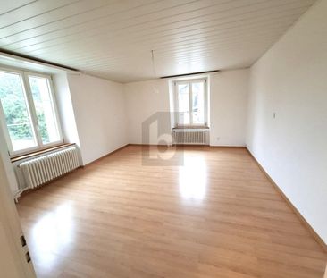 SPACIEUX, EN PLEINE NATURE - Photo 3