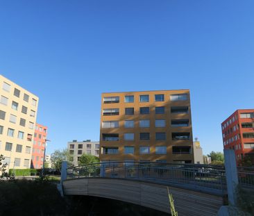 3.5 Zimmer, 80 m², 4. Stock - Photo 6