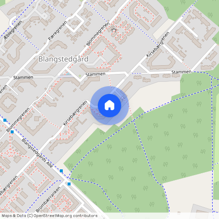 Kirsebærgrenen 81 - 113, 5220 Odense SØ