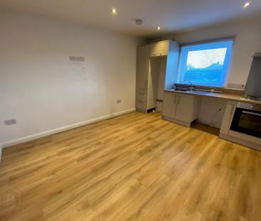 Apt 5, 46 Grand Street, Hilden, Lisburn, BT27 4UD - Photo 6