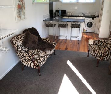 Sweet studio in Seatoun Village - Photo 3