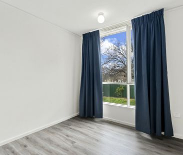 8 Sydney Avenue, Forrest ACT, Belconnen - Photo 6