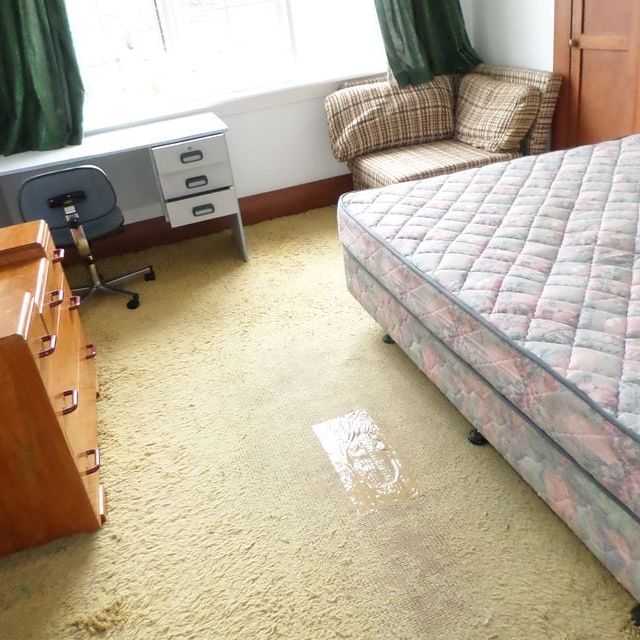 5 bedroom student flat available for the next year - Photo 1