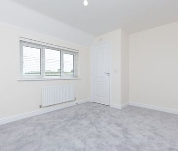 Further Wore, Radley - Photo 2