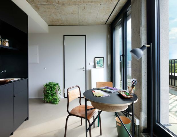 Penthouse Balcony - Long Term - Floor 7 - Photo 1