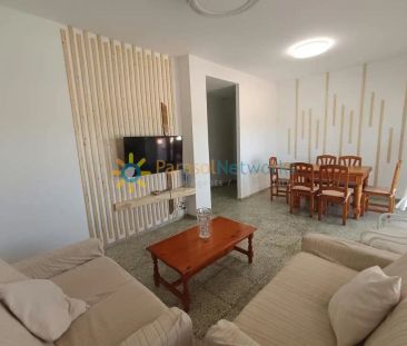 Oliva - Foto 5