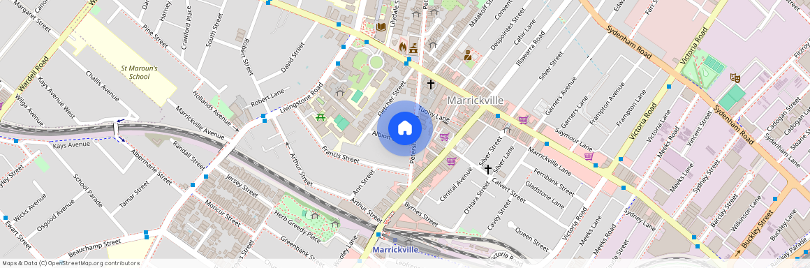 2/113 Petersham Road, Marrickville, NSW 2204